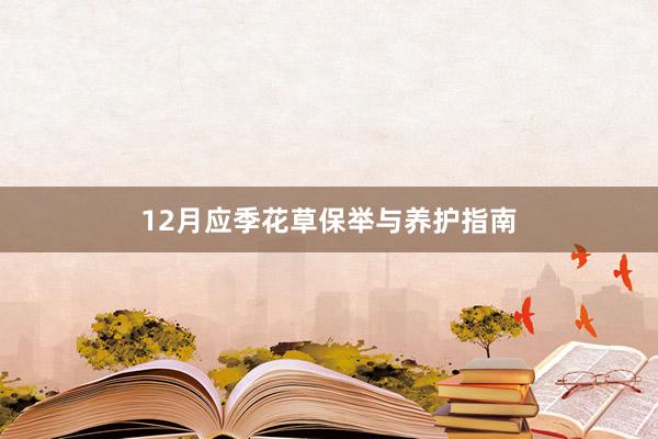 12月应季花草保举与养护指南