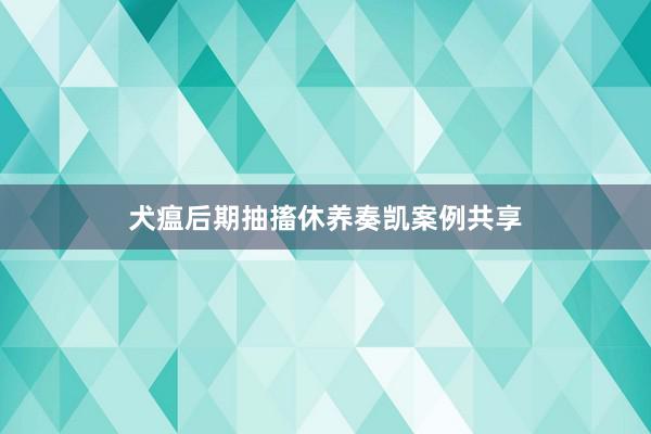 犬瘟后期抽搐休养奏凯案例共享