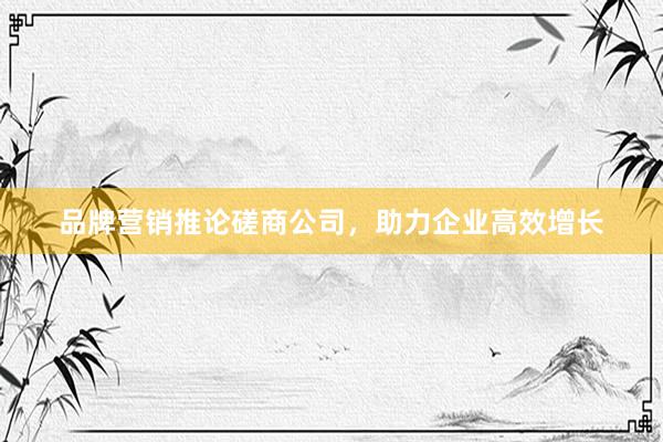 品牌营销推论磋商公司，助力企业高效增长