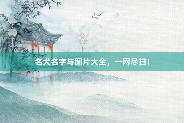 名犬名字与图片大全，一网尽扫！